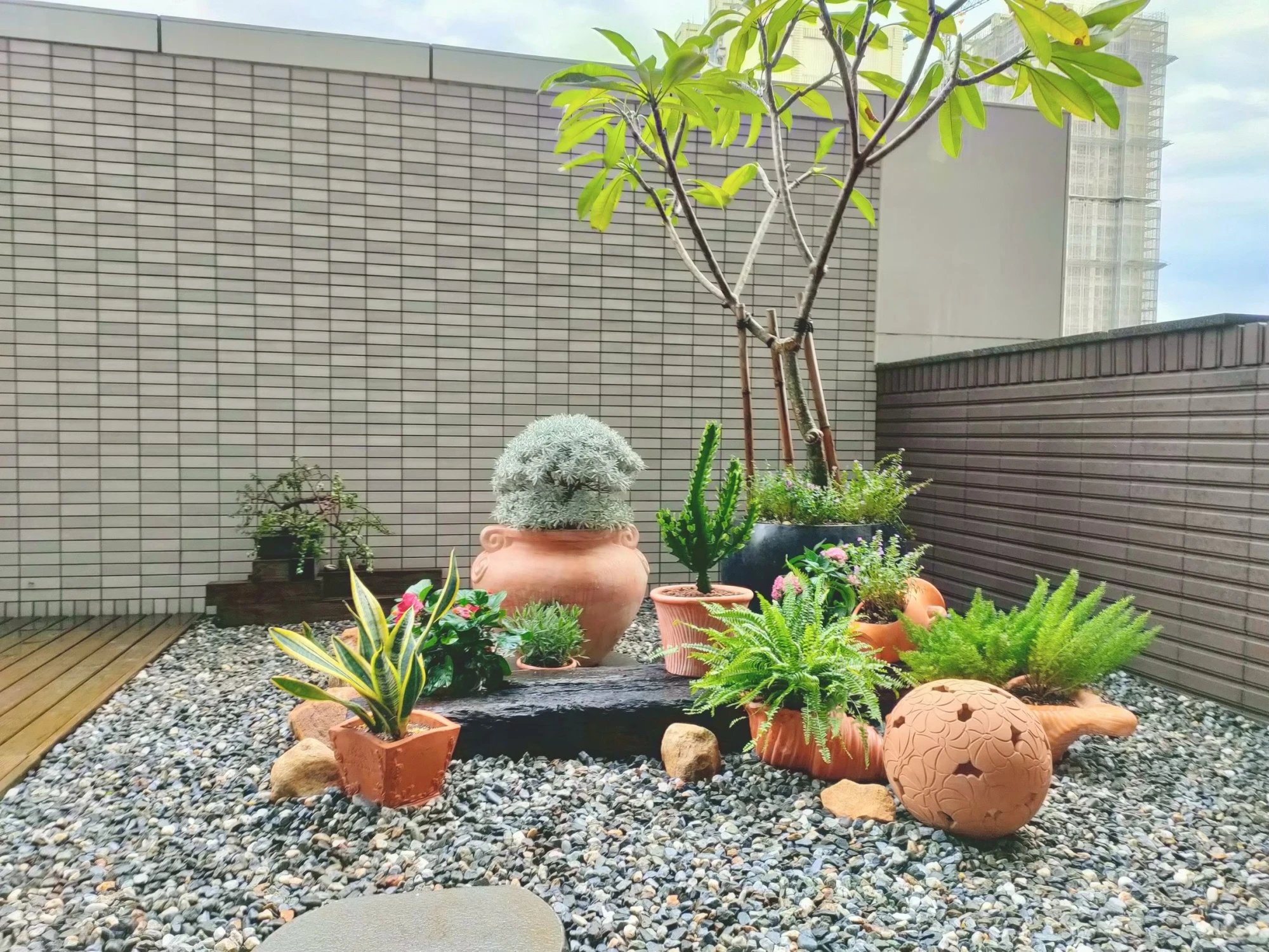 露臺/陽台/花台造景