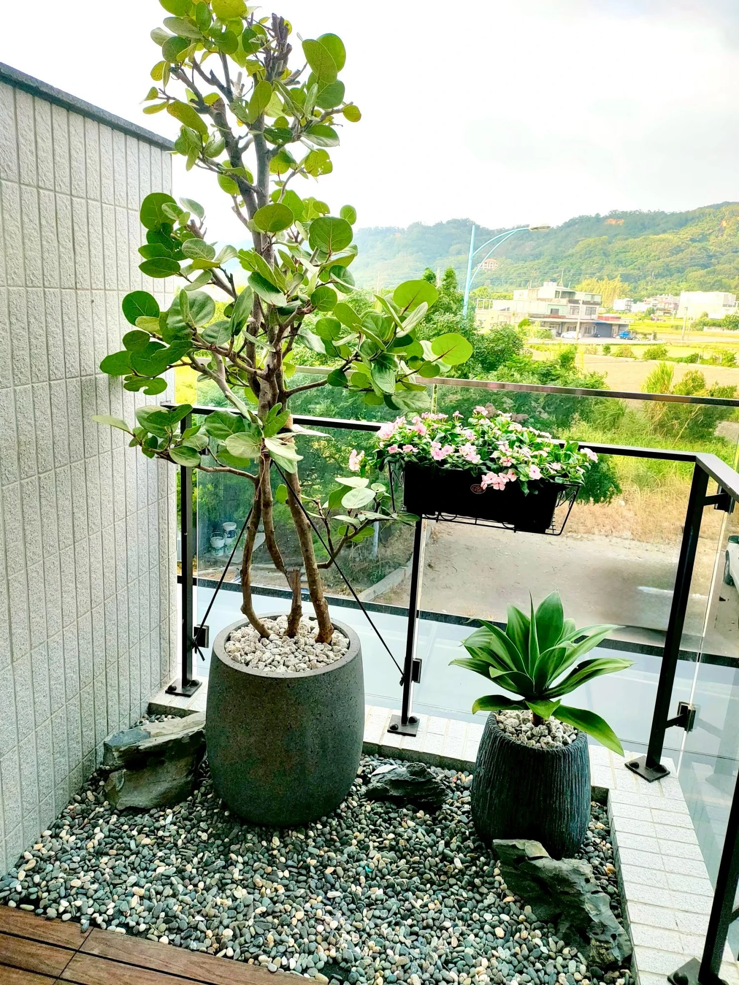 露臺/陽台/花台造景