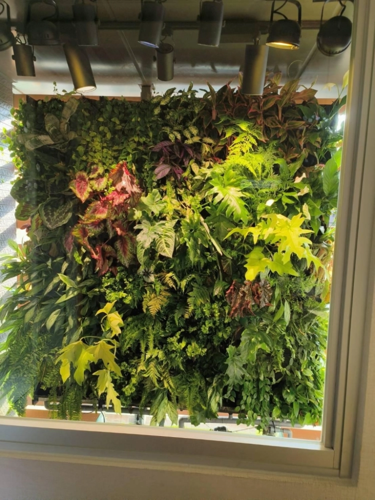 新北市新莊私人住宅陽台植栽牆