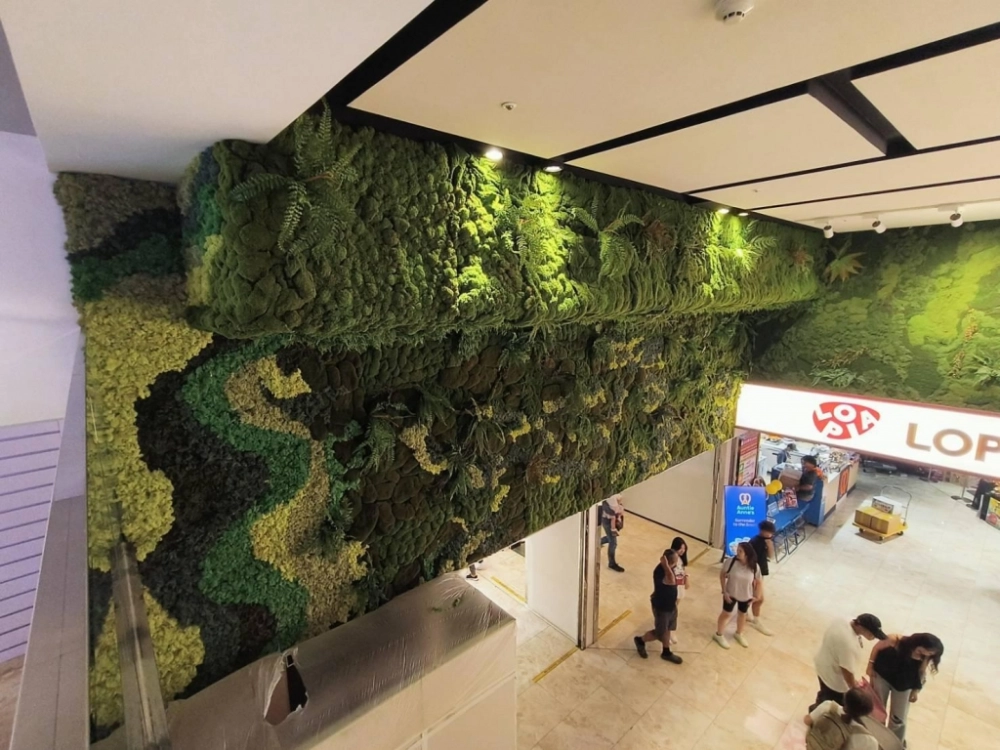 新莊宏匯廣場 B2商場苔草植栽牆