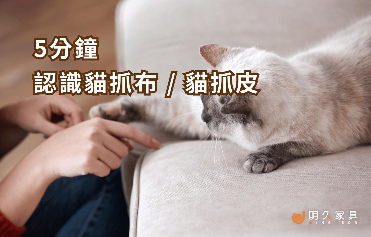貓抓皮/貓抓布是什麼？5分鐘認識貓抓皮/布優缺點及沙發推薦！