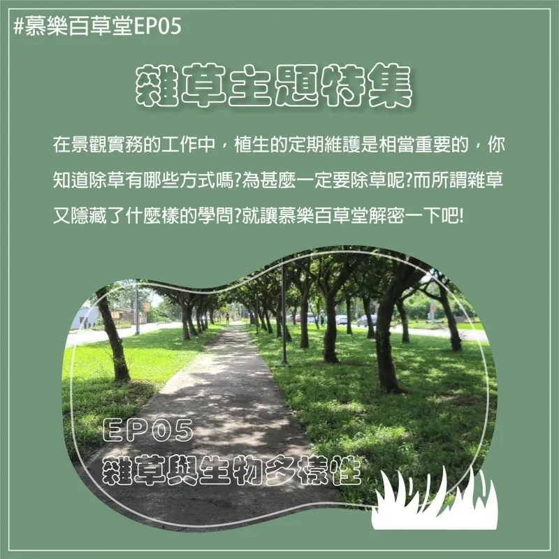 EP05 雜草與生物多樣性 | 台中景觀設計 | 台中景觀植栽設計