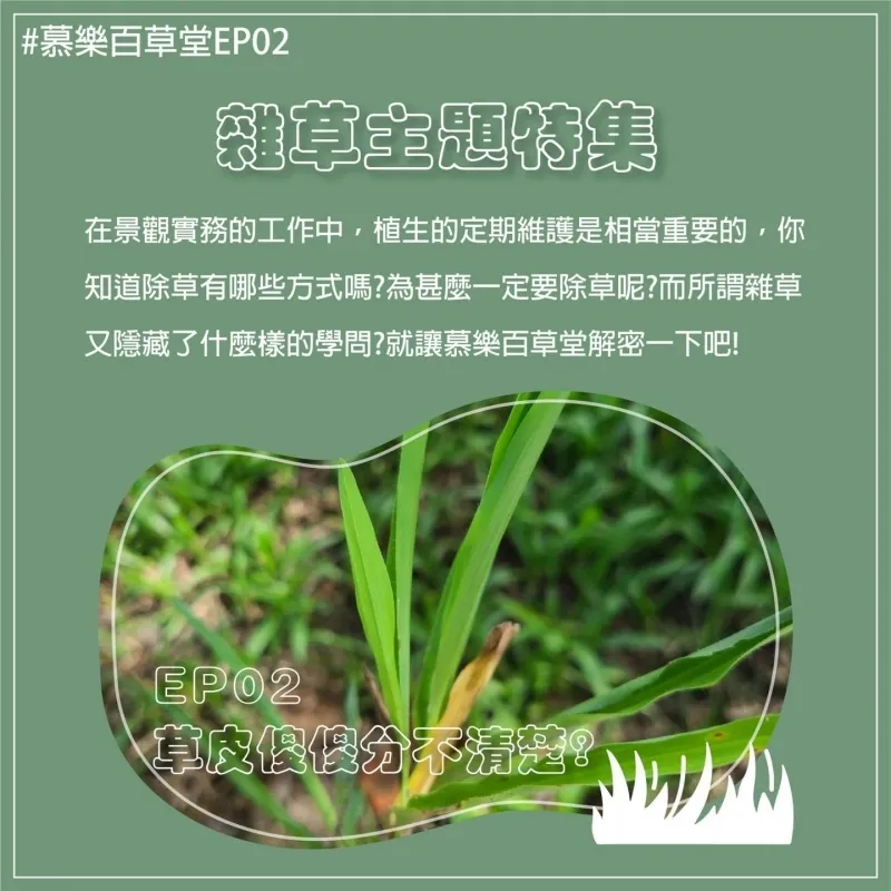 EP02 常見草皮的種類 | 台中景觀設計 | 台中庭園造景