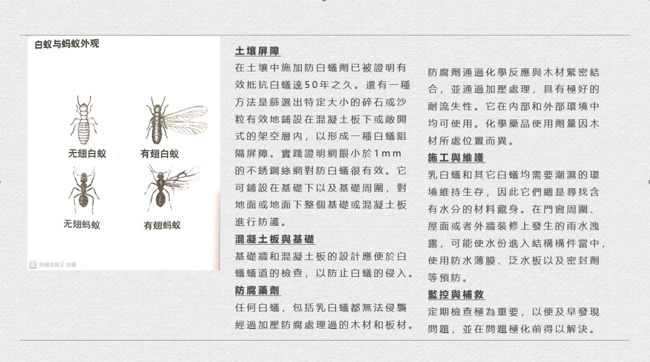 白蟻控制