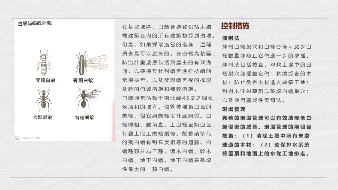 白蟻控制