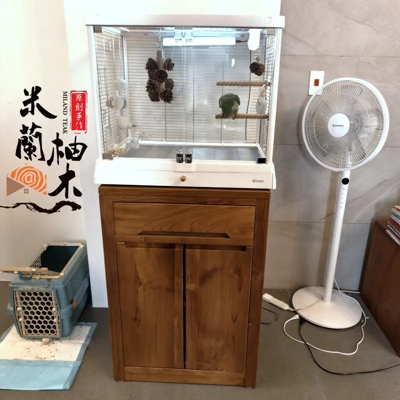 哇塞！這隻鸚鵡也太幸福了吧！