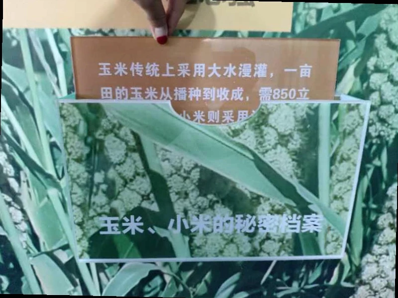 內蒙阿拉善展覽館