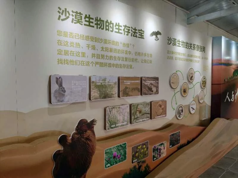 內蒙阿拉善展覽館