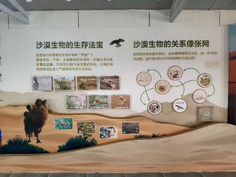 內蒙阿拉善展覽館