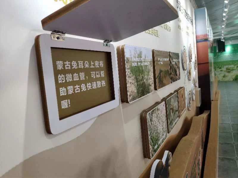 內蒙阿拉善展覽館
