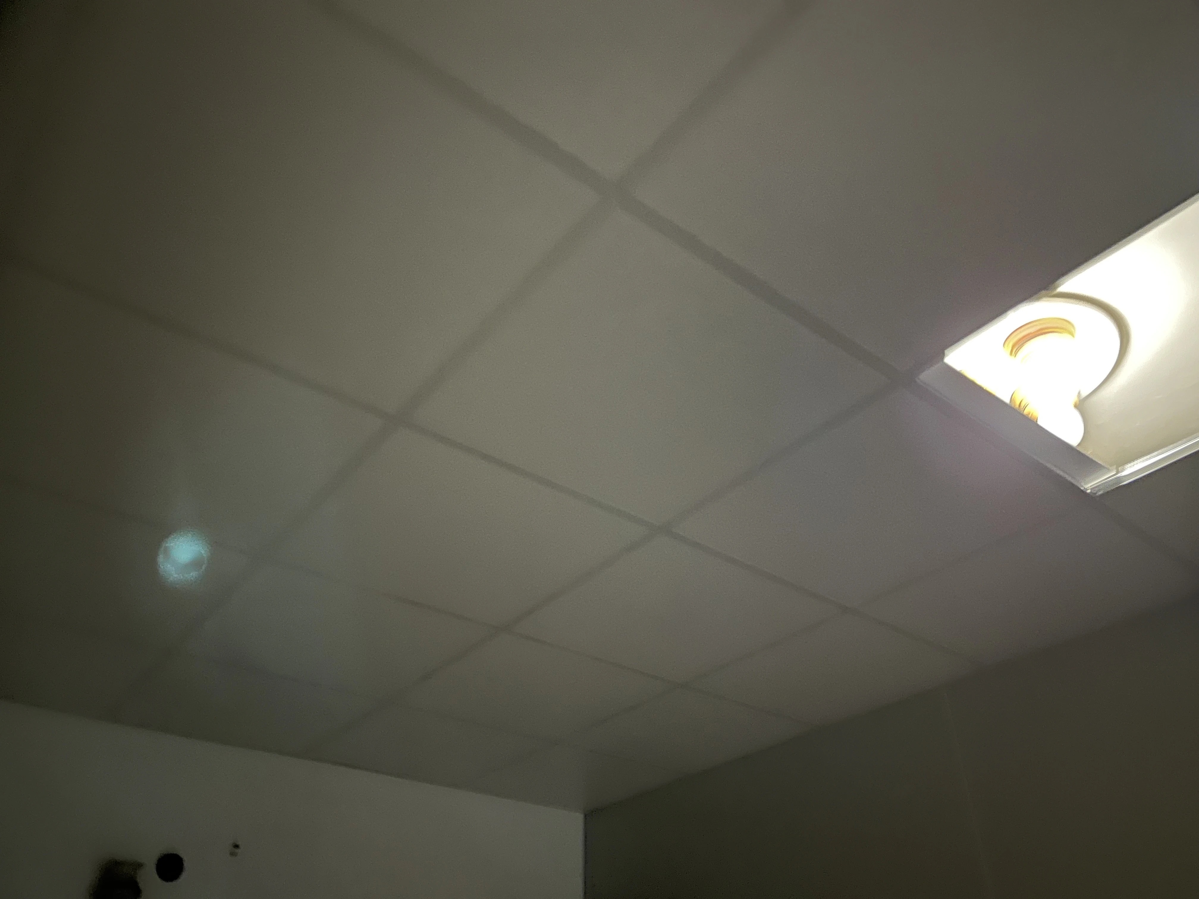 民宅修繕 | 海線天花板新增工程<BR>明架天花板 | 大安