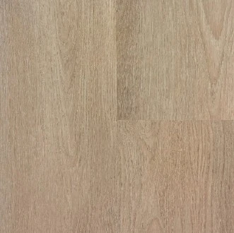 威爾斯