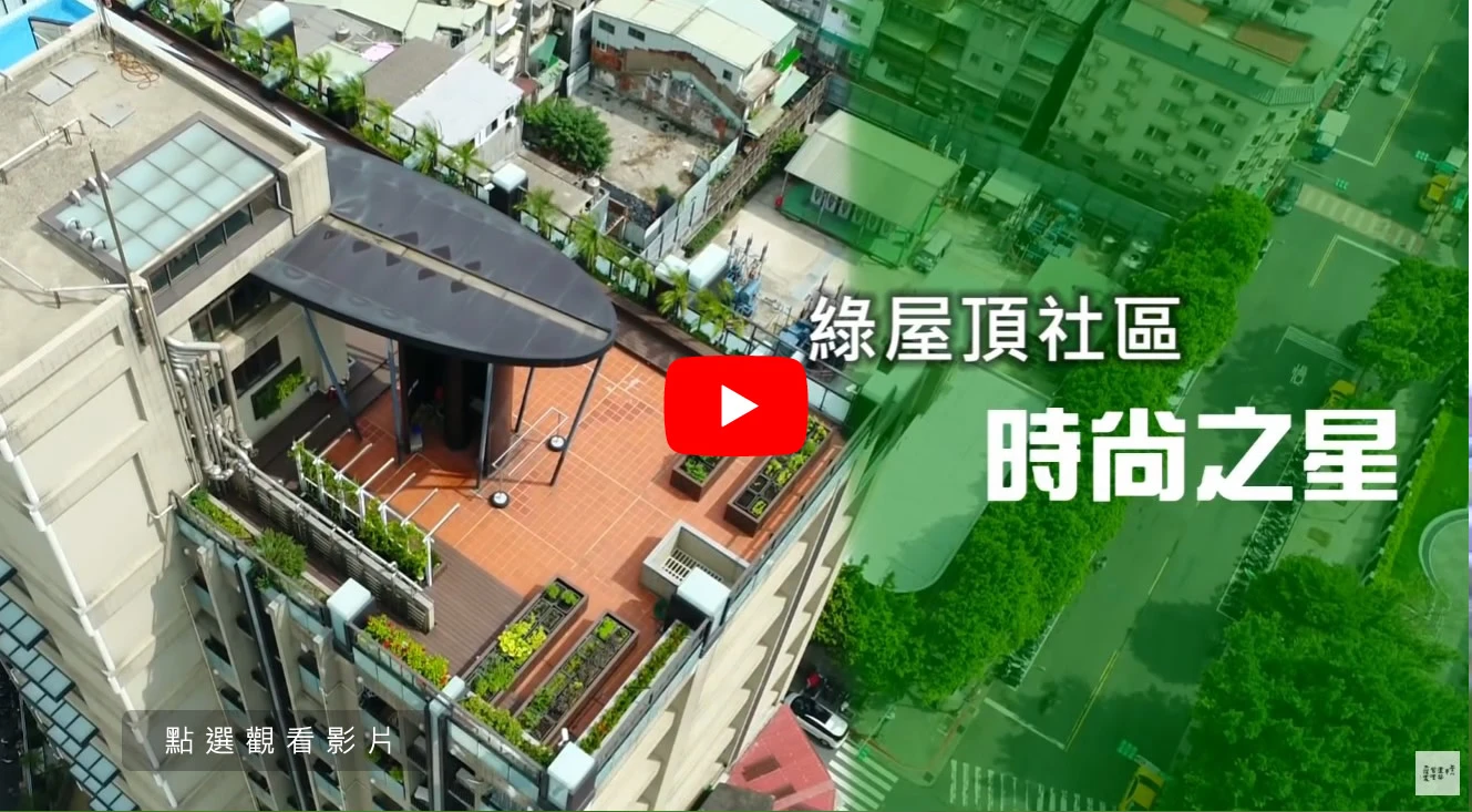 時尚之星綠屋頂