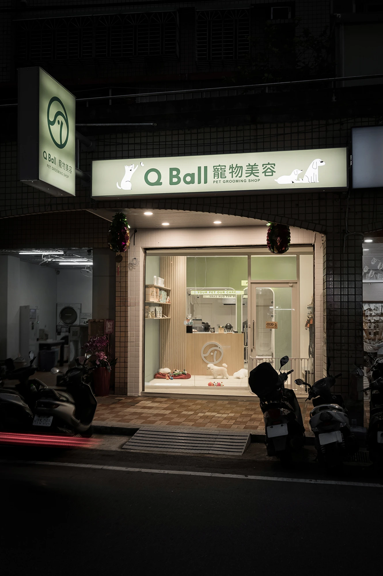 中壢_Q Ball寵物美容