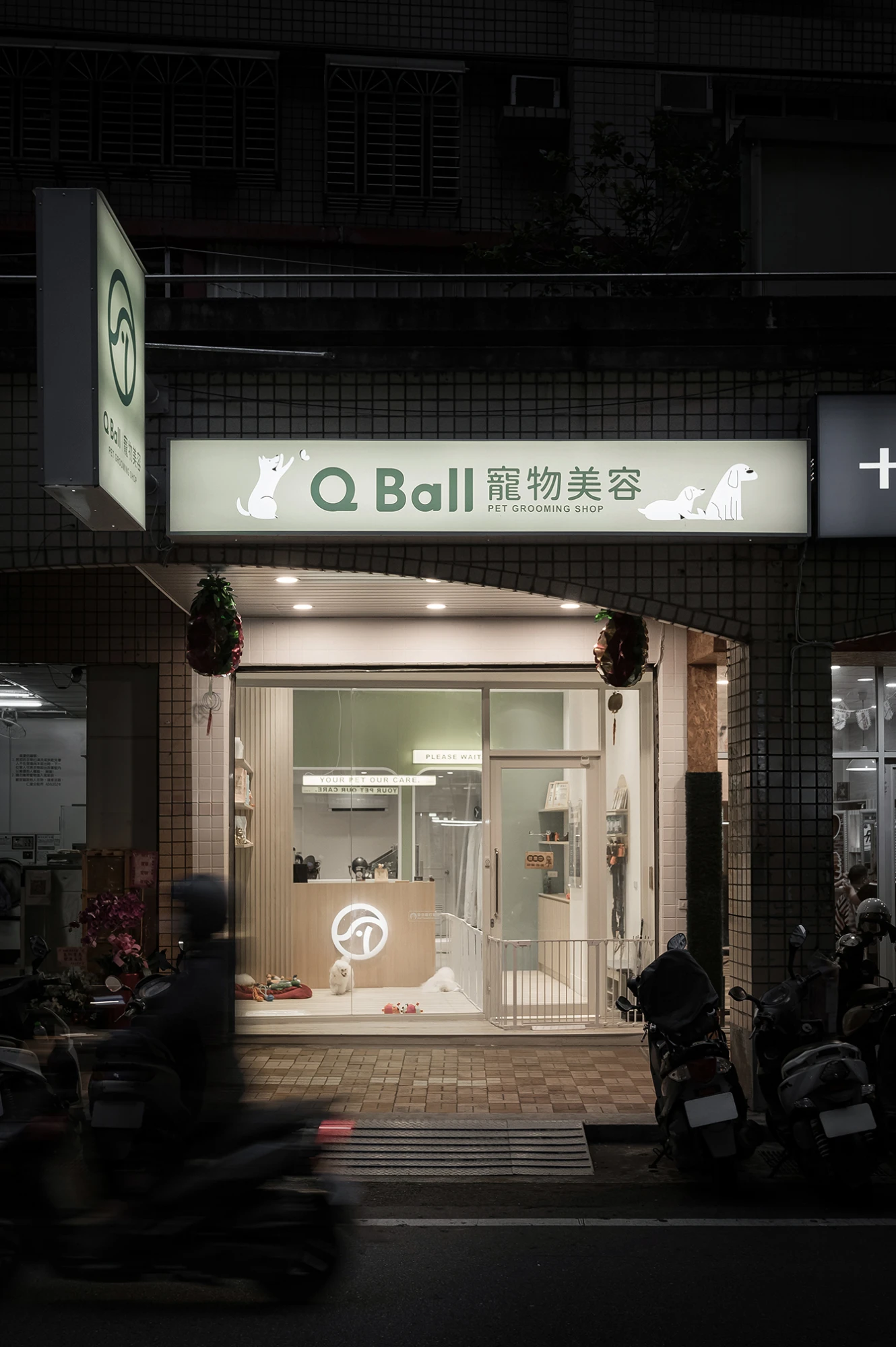 中壢_Q Ball寵物美容