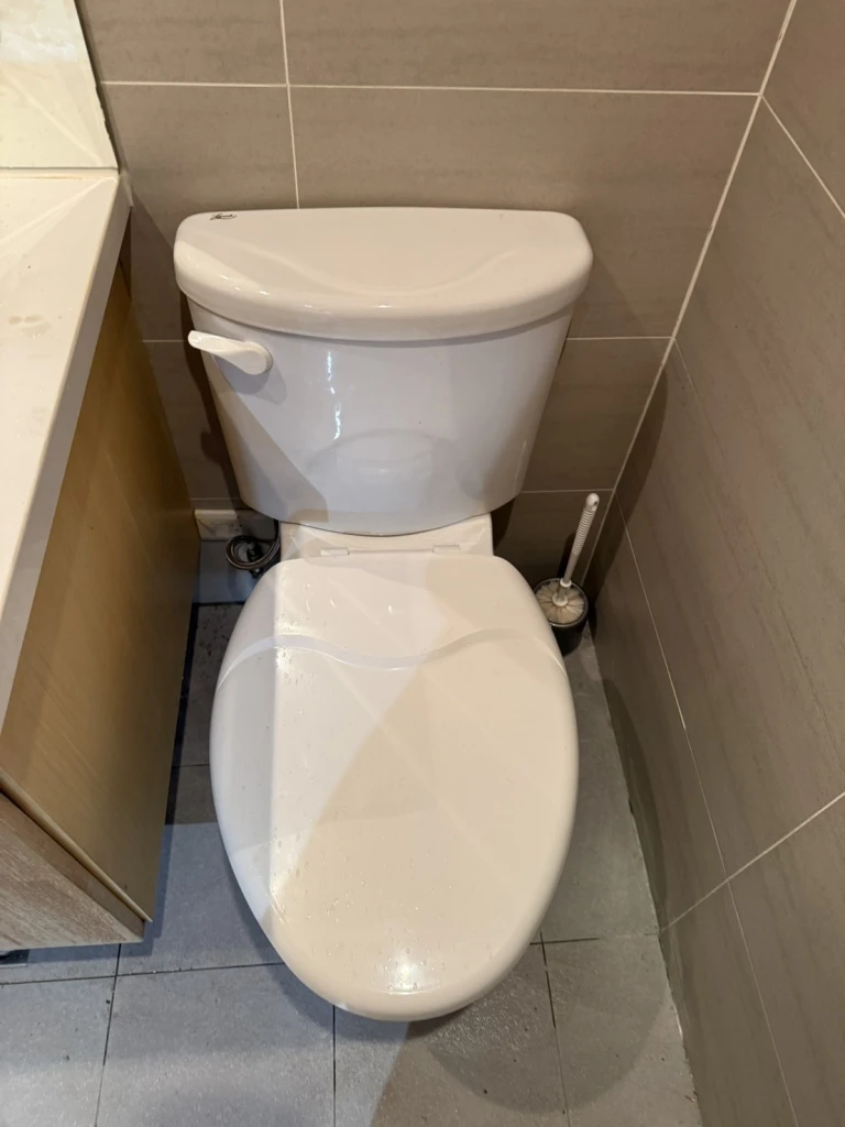 土城 | 更換崁燈、馬桶拆除安裝 | 桃園水電師傅 | 桃園水電工程 | 台北水電行