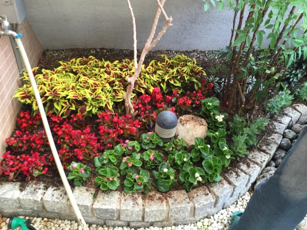 庭園景觀設計 | 新竹園藝工程