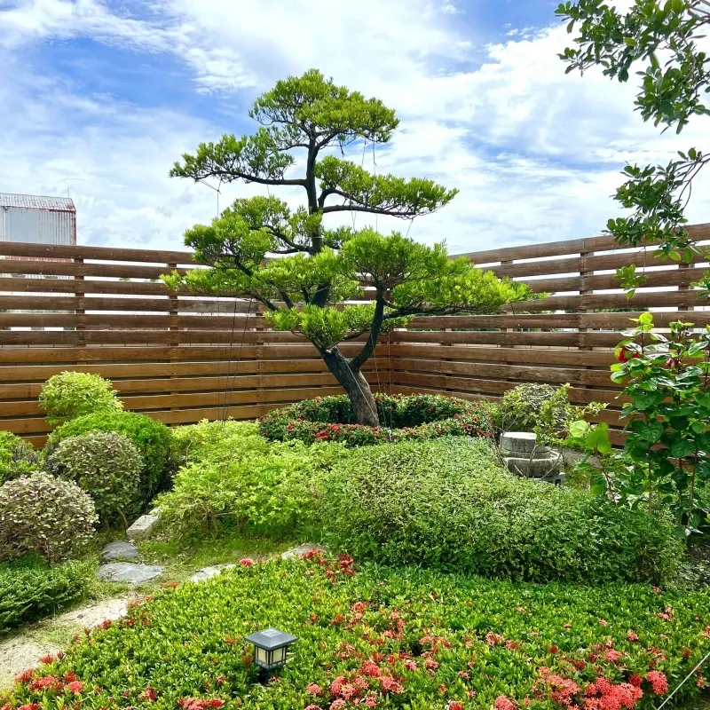 【台中清水-私宅庭園維護】台中景觀維護、台中景觀設計、台中庭園維護、台中園藝造景、台中園藝公司、台中園藝景觀、台中草坪管理