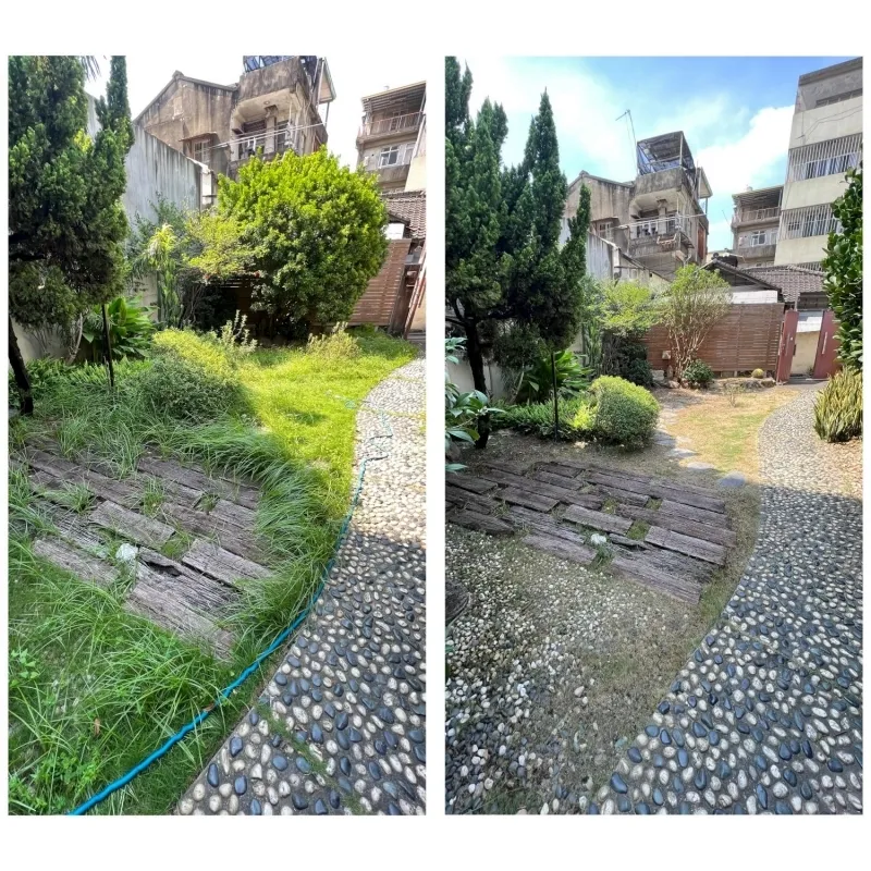 【彰化-商業空間維護、九重葛移除】Yolo Moment庭園維護、彰化景觀維護、彰化景觀設計、彰化景觀工程、台中園藝造景、台中庭園造景