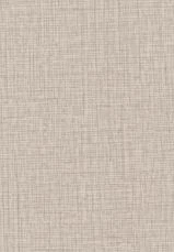 Y95