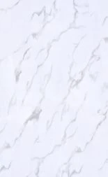 Y55
