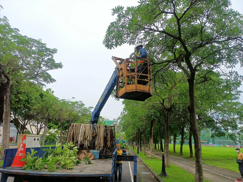 大熱天在高空修剪樹木、修剪師師傅辛苦了！