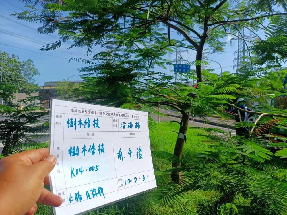 樹木移植前修剪、大熱天的辛苦修剪師傅了