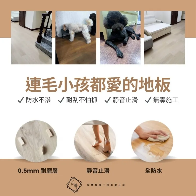 連毛小孩都愛的地板，到底有什麼不一樣？ #SPC卡扣地板#超耐磨地板#高雄木地板廠商#高雄室內裝潢