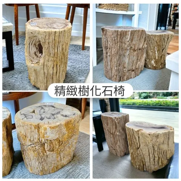 【精緻樹化石椅】你知道樹皮紋理都會是不一樣的嗎~? | 台南石材工廠