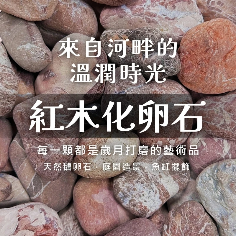 紅木化卵石｜天然溫潤・質樸典雅