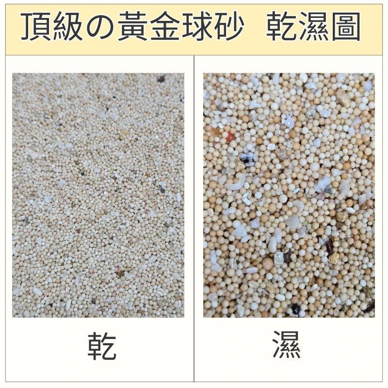 頂級の黃金球砂