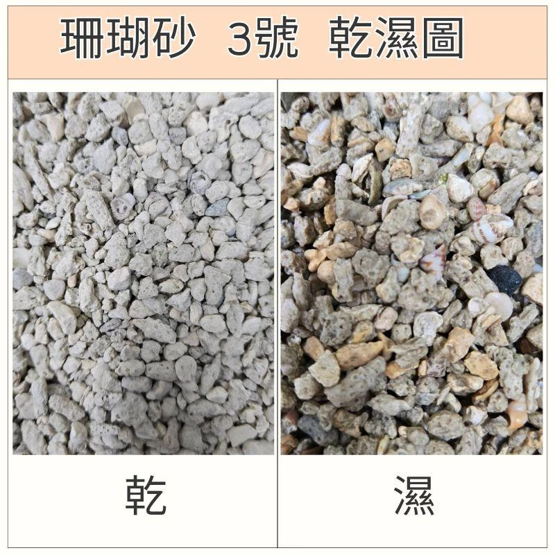 精緻~珊瑚砂