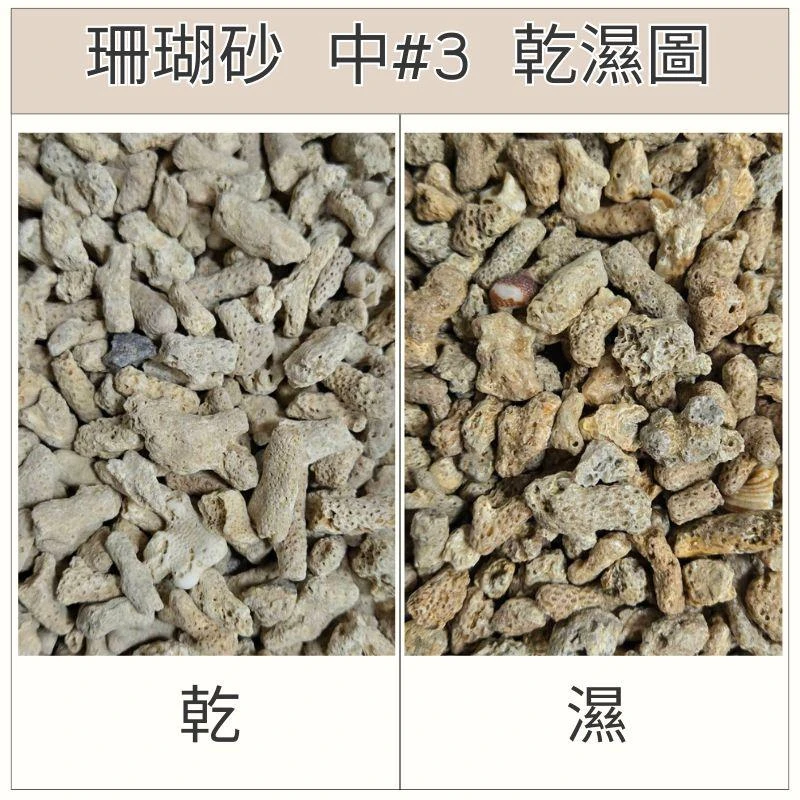 澎湖砂-珊瑚砂