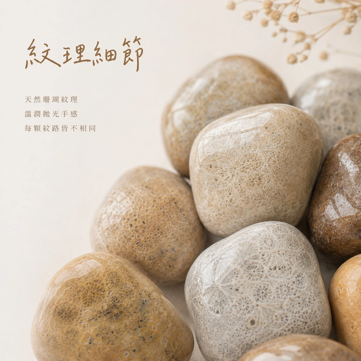 珊瑚玉滾石
