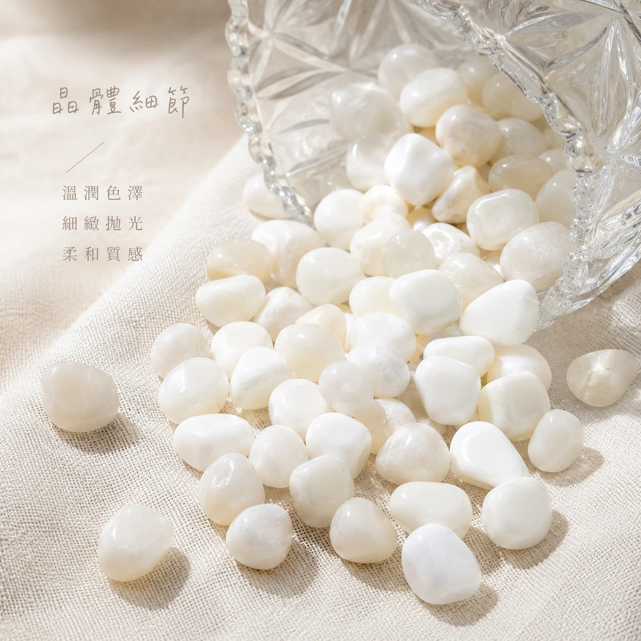 硨磲