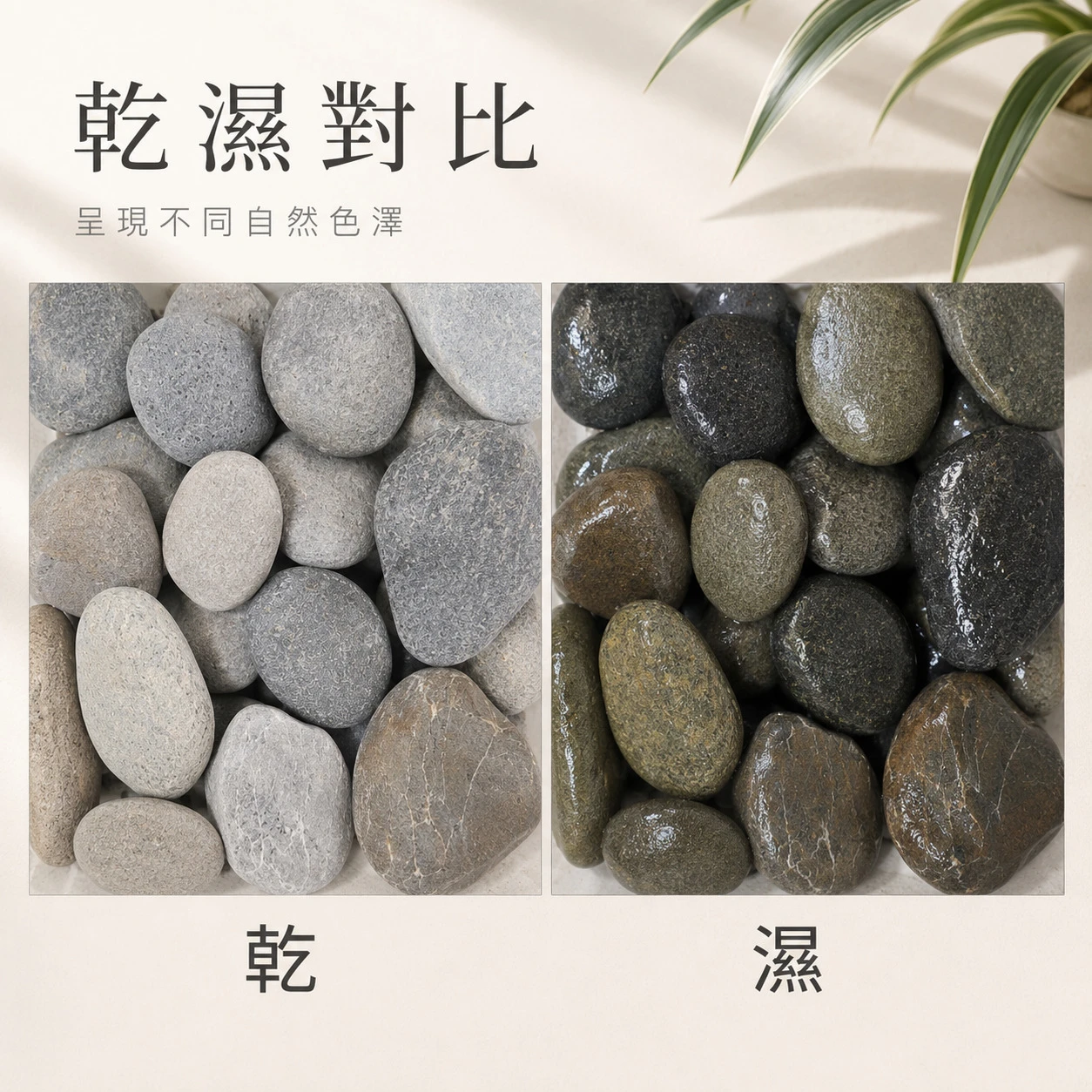 多彩海扁石-1KG