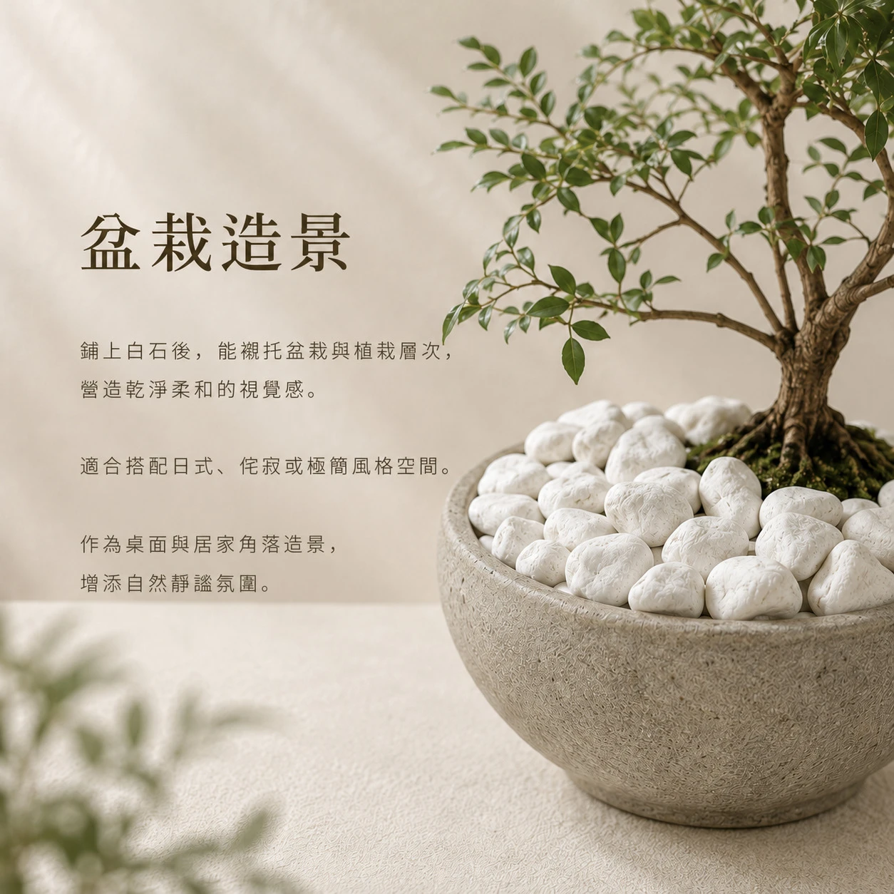 特白石-1KG