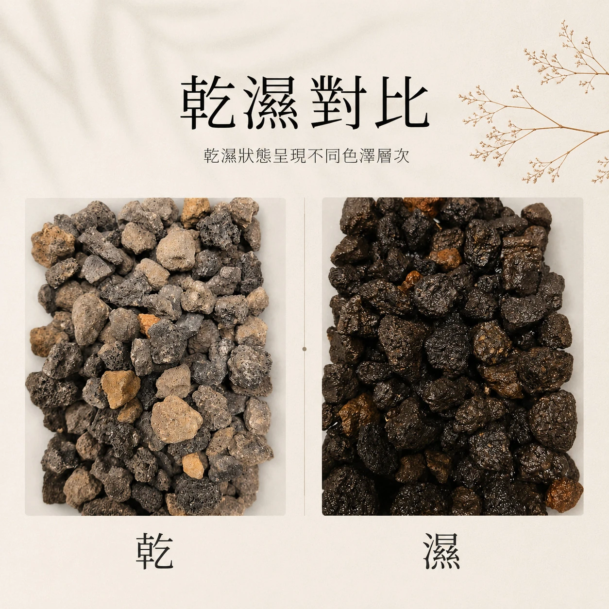 黑火山石-1KG