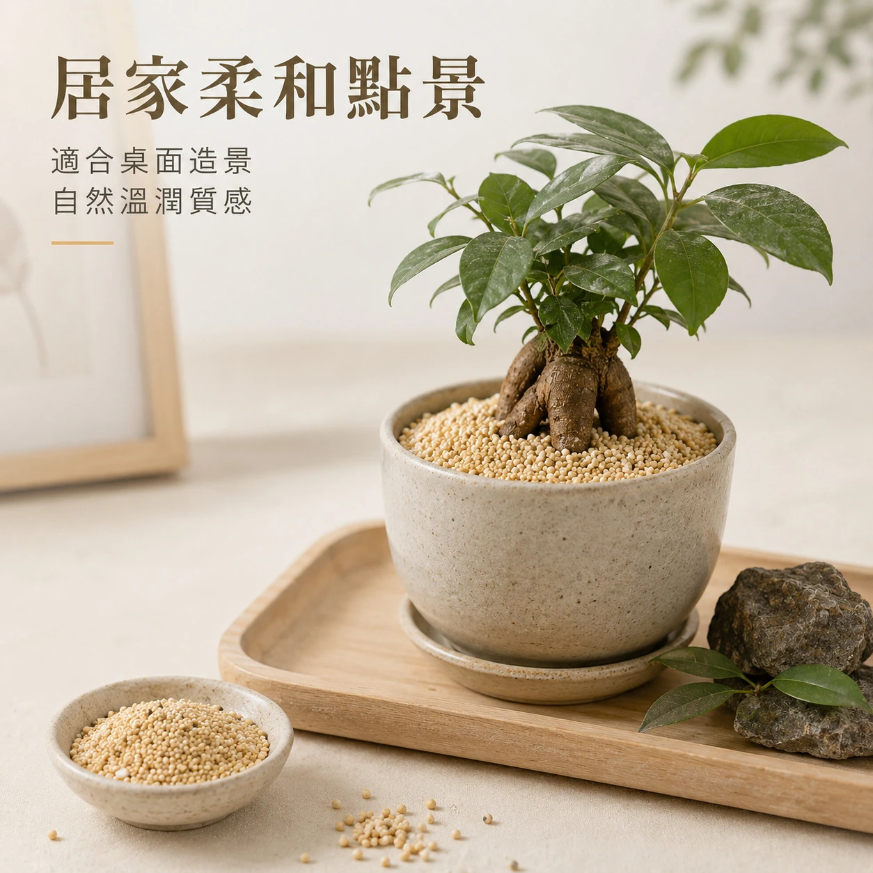 黃金球砂-1KG
