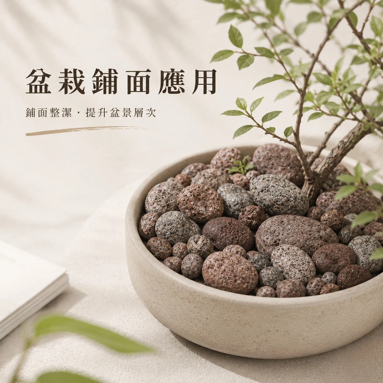 紅麥飯石-20KG