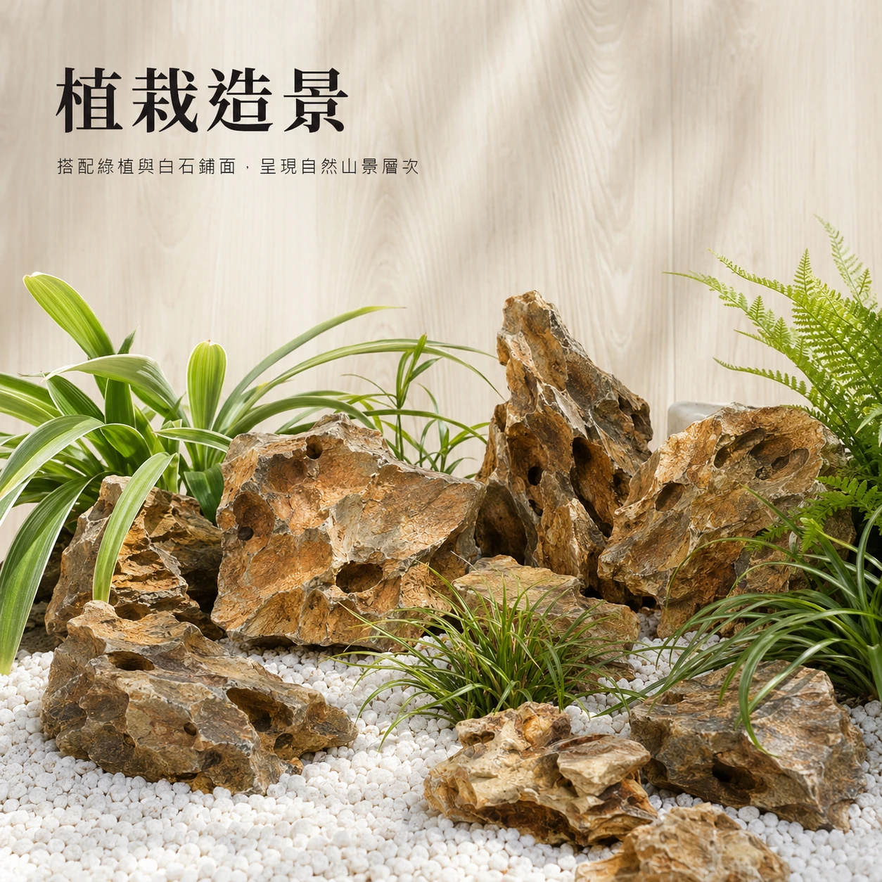 虎皮石-1KG