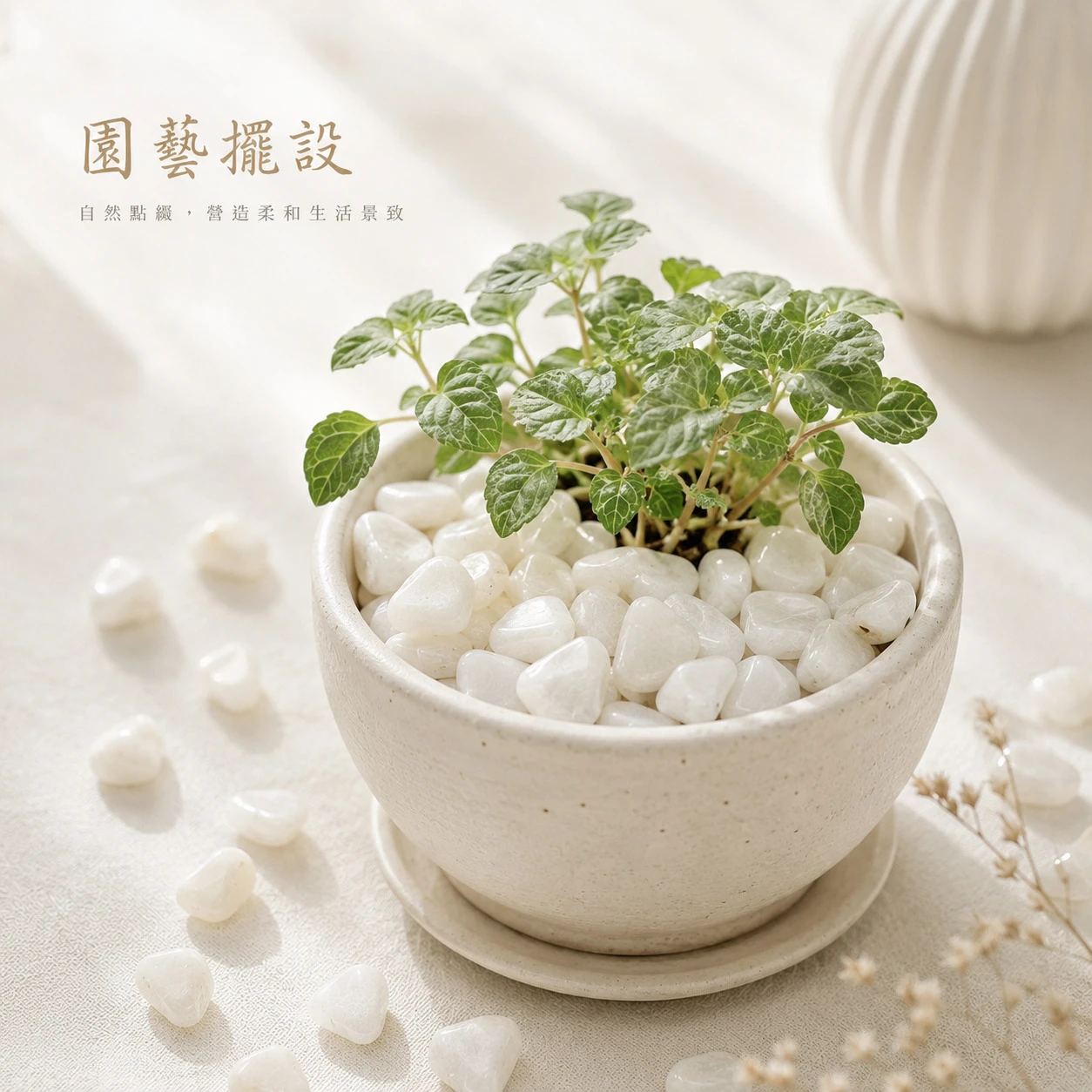 白月光碎石