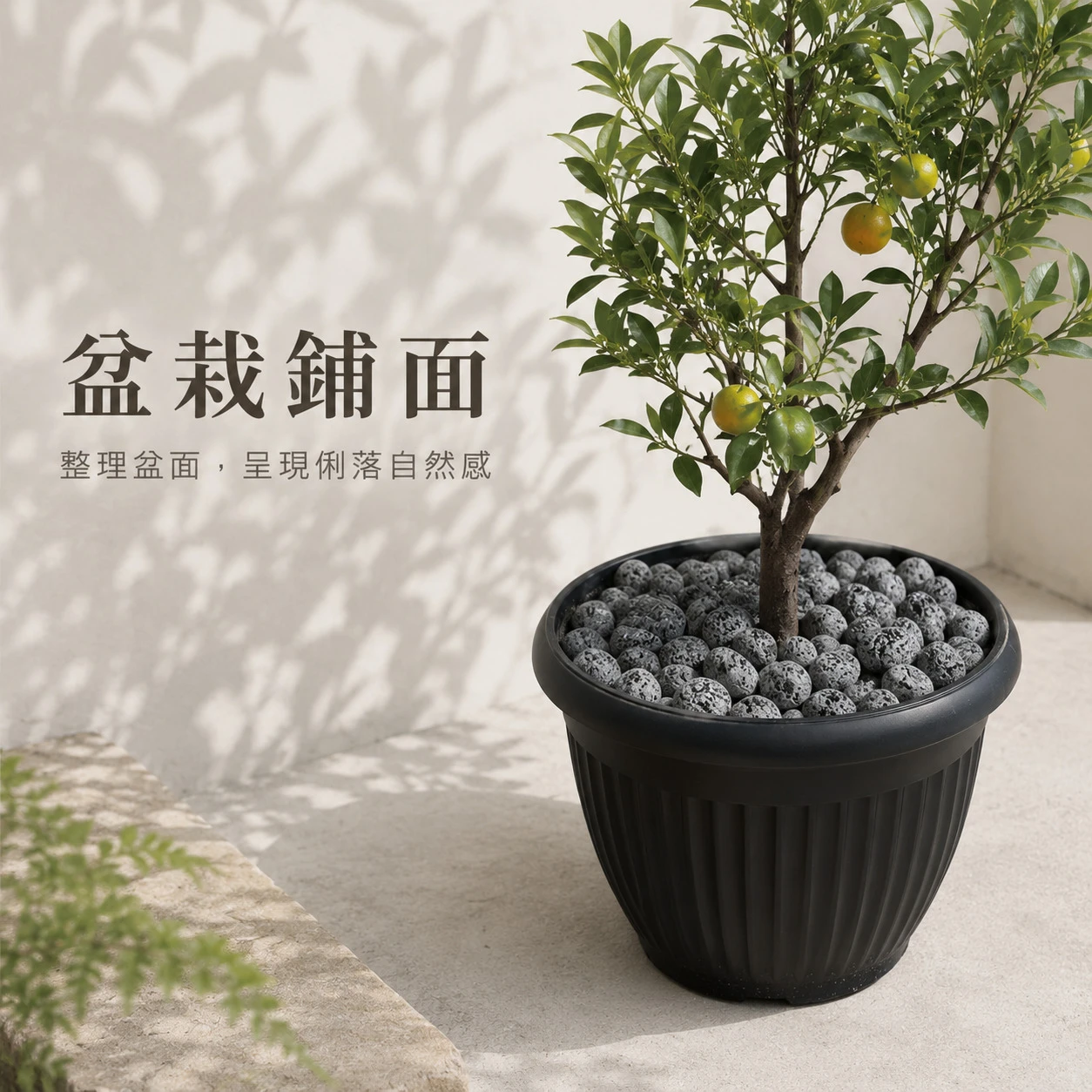 黑麥飯石-1KG