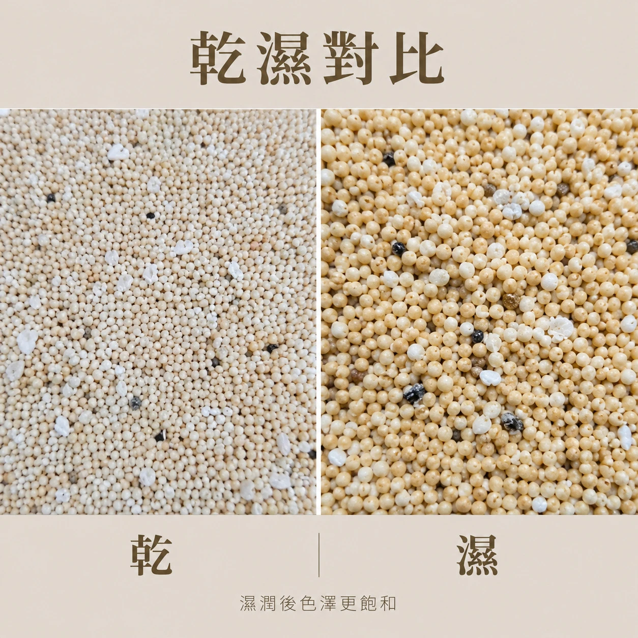 黃金球砂-1KG
