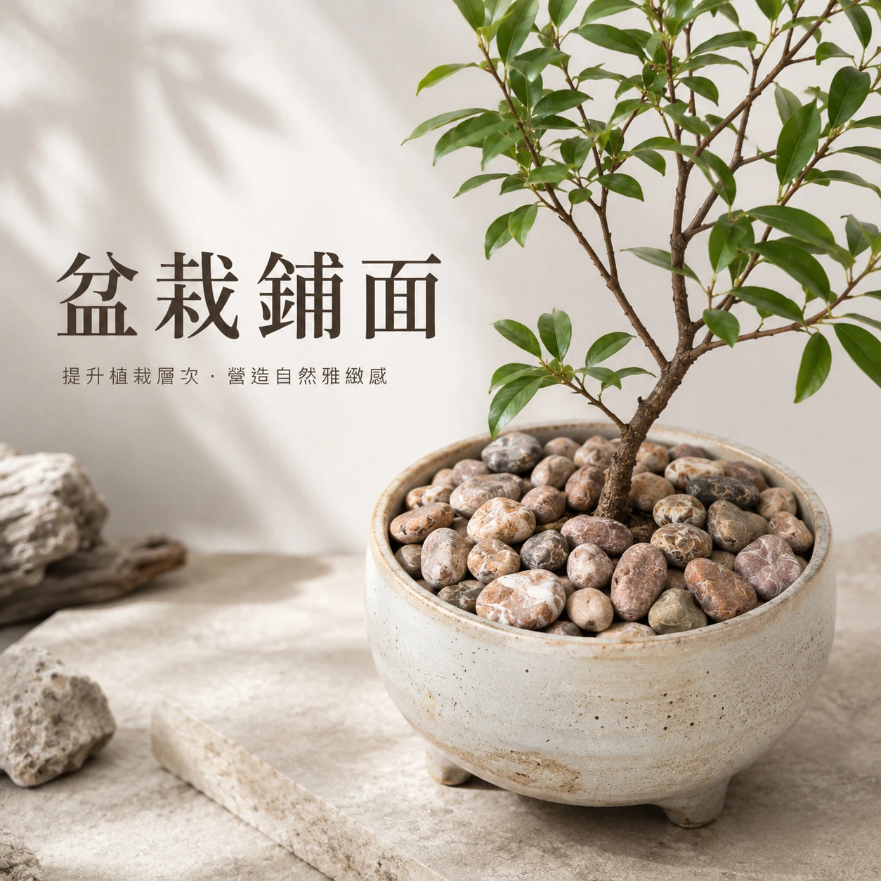 紅木化卵石-20KG