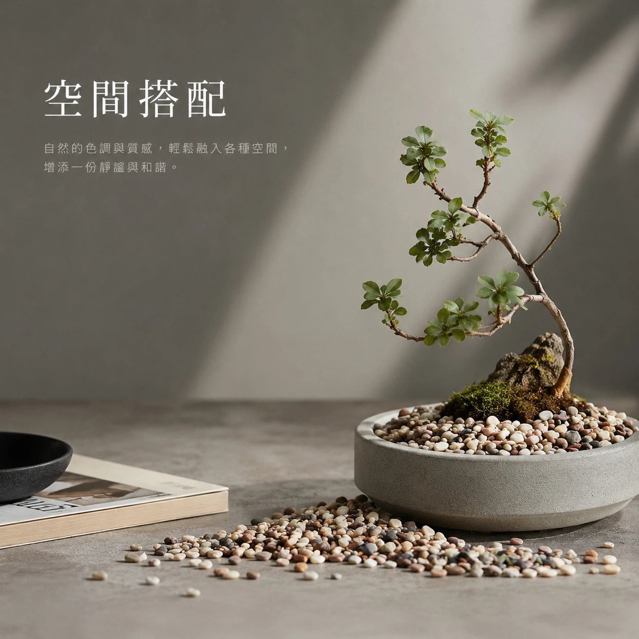 霓虹石-20KG