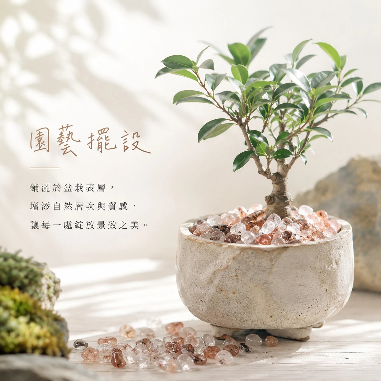 紅膠花碎石
