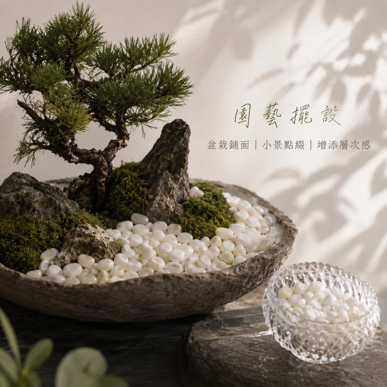 硨磲