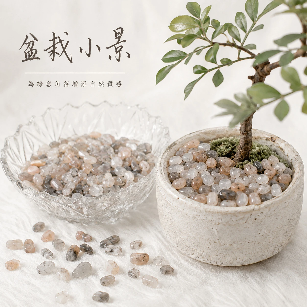 黑骨幹碎石