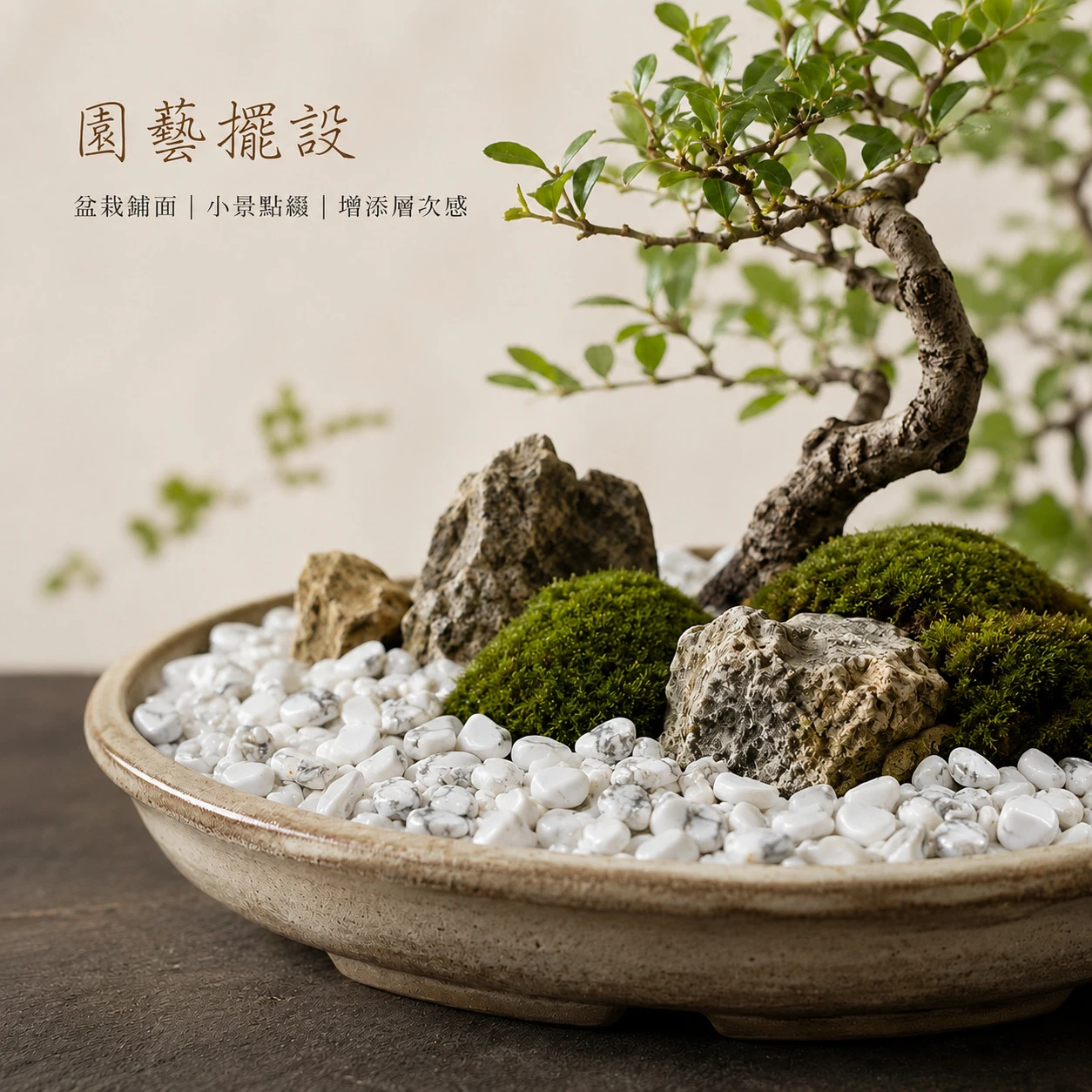 白松石碎石